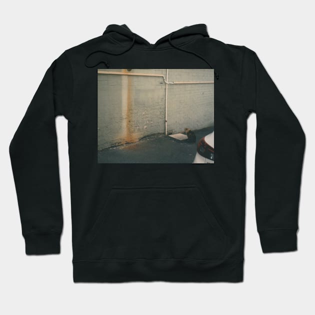 Kitty on a sidewalk Film Photo Hoodie by HFGJewels